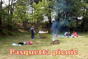 picnic